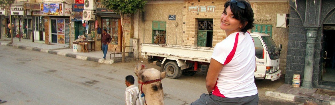 Urban Camel Jockeying In Cairo