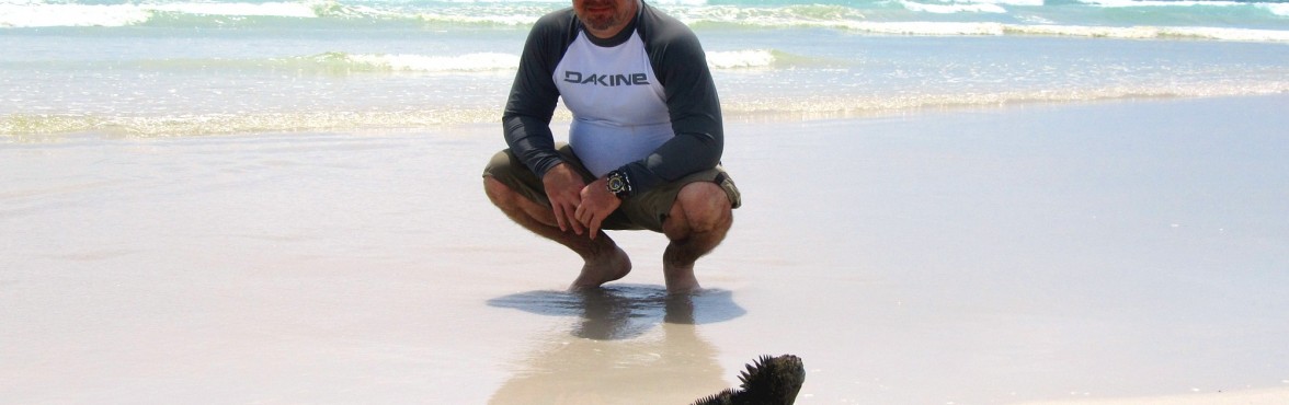 Hangin' with the marine lizards in the Galapagos Islands