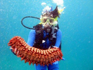 Our Underwater Guide Just Started Handing Us Stuff