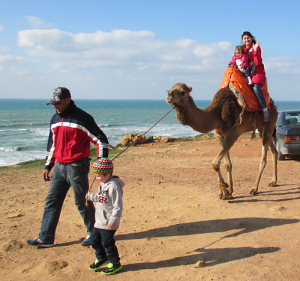 Riding Camels In Morocco